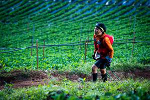 BIB: 
                            <button type="button" onclick="openModal(19160003)" class="btn btn-primary btn-sm float-right btn-popup" data-toggle="modal" data-target=".modal-high-quality">
                        <i class="fas fa-shopping-cart"></i> Add to Cart
                    </button>
                                            <button type="button" onclick="isThisMe(19160003, true)" class="btn btn-success btn-sm float-right btn-popup btn-isme hidden" data-toggle="tooltip" data-placement="bottom" title="นี่คือรูปของคุณใช่ไหม คลิกที่นี่เพื่อเอาเข้าอัลบั้ม">
                        <i class="fas fa-plus"></i> Add to album
                    </button>
                    <button type="button" onclick="isThisMe(19160003, false)" class="btn btn-warning btn-sm float-right btn-popup btn-isnotme hidden">
                        <i class="fas fa-ban"></i> Remove from album
                    </button>